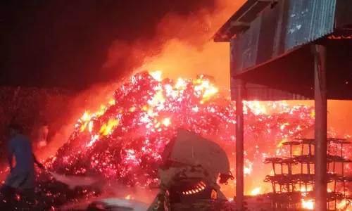 தேங்காய் நார் தொழிற்சாலை எரிந்து நாசம்