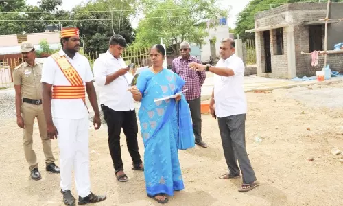 வளர்ச்சி பணிகளை கலெக்டர் ஆய்வு