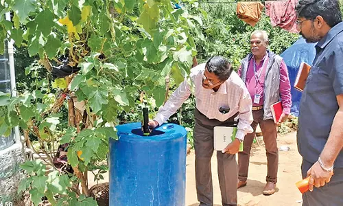ஏற்காட்டில் மாவட்ட சுகாதார அலுவலர் ஆய்வு