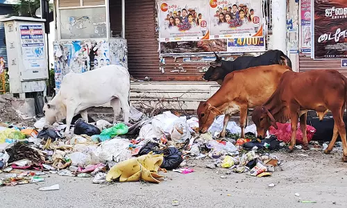 கோவை மாநகரில் சாலைகளில் ஆங்காங்கே கொட்டப்பட்டு கிடக்கும் குப்பைகள்