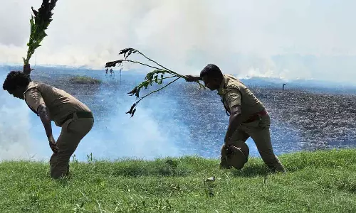 2-வது நாளாக தீப்பற்றி எரியும் முட்புதர்கள்