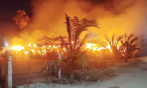 ஆறுமுகநேரி தொண்டு நிறுவன பால் பண்ணையின் வைக்கோல் படப்பு எரிந்து நாசம்- போலீசார் விசாரணை