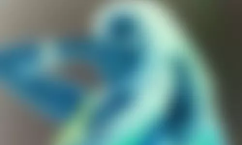 இயக்குனரை வளைத்து போட்ட நடிகை