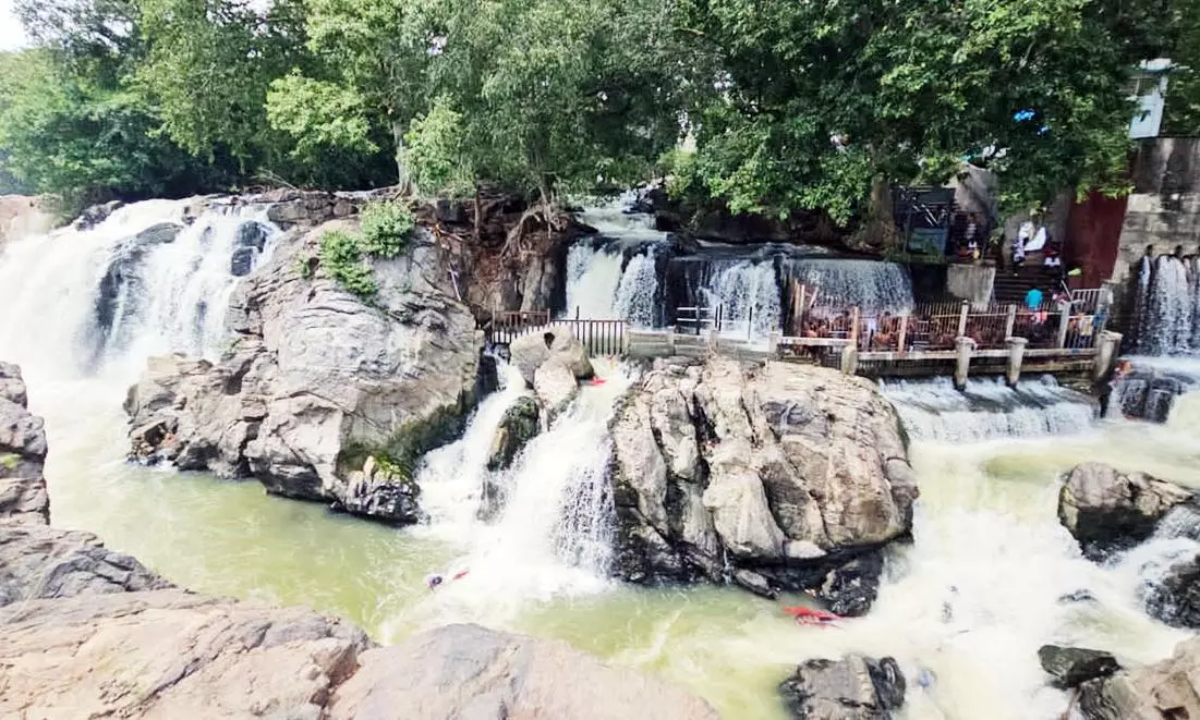 ஒகேனக்கல்லுக்கு நீர்வரத்து 4 ஆயிரம் கன அடியாக நீடிப்பு ஒகேனக்கல்லுக்கு நீர்வரத்து 4 ஆயிரம் கன அடியாக நீடிப்பு