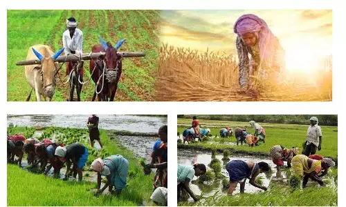 அவிநாசியில் உழவர் உற்பத்தி நிறுவனம் கலெக்டர் திறந்து வைத்தார்