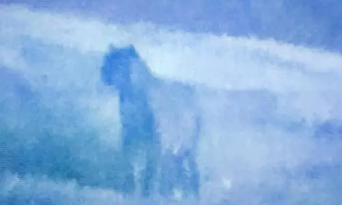 தாளவாடி அருகே ஊருக்குள் புகுந்த சிறுத்தையால் பொதுமக்கள் அச்சம்