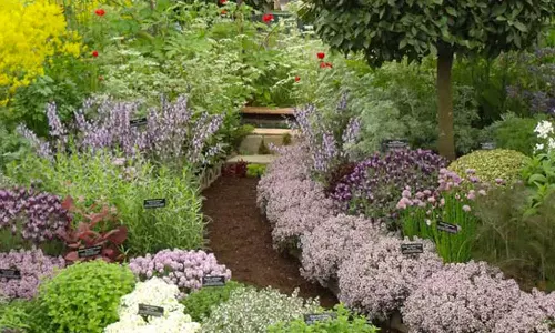 உலகின் மூலிகைப் பூங்கா