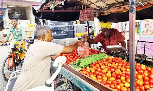 தருமபுரியில் தக்காளி  விலை குறைவு