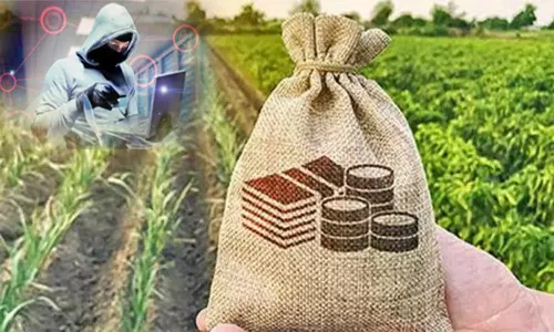 பயிர் காப்பீடு திட்டத்தில் உதவியாளர் பணி குறித்து வரும் தகவல்களை நம்ப வேண்டாம்