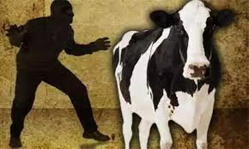 நள்ளிரவில் மாடு திருடி சென்ற கும்பல்