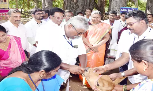கருணாநிதி நூற்றாண்டு விழாவை முன்னிட்டு சிறப்பு கால்நடை மருத்துவ முகாம்