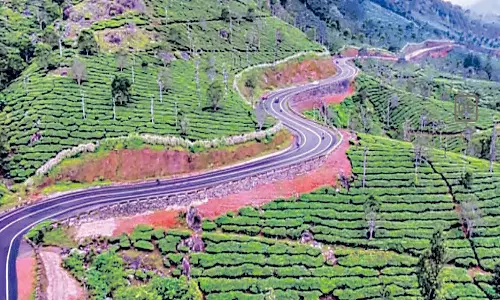 6 ஆண்டுகளாக நடைபெற்ற போடிமெட்டு-மூணாறு இருவழிச்சாலை பணிகள் நிறைவு