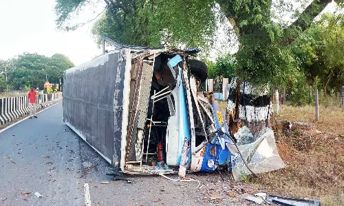 அரசு பஸ் மரத்தில் மோதி கவிழ்ந்தது