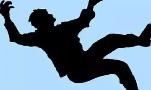 மரத்தில் இருந்து தவறி விழுந்தவர் பலி