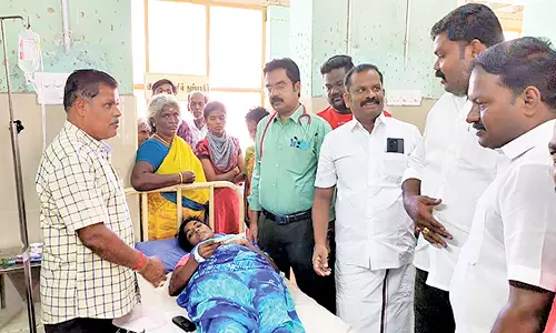 வெறிநாய் கடியால் 50 பேர் பாதிப்பு-ஆஸ்பத்திரியில் சிகிச்சை பெறுபவர்களுக்கு ராஜா எம்.எல்.ஏ. நேரில் ஆறுதல்