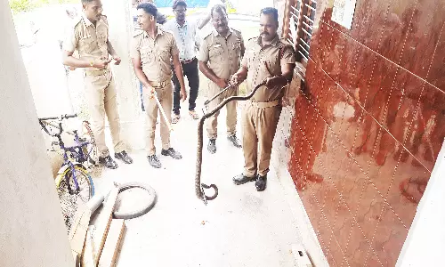வீட்டுக்குள் புகுந்த பாம்பு பிடிபட்டது
