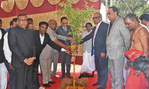 மூத்த வழக்கறிஞர்களின் ஆலோசனை பெற்று செயல்பட்டால் இளைய வக்கீல்களுக்கும் வெற்றி நிச்சயம்- தலைமை நீதிபதி பேச்சு