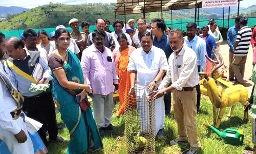 நீலகிரியில் ரூ.53 லட்சம் மதிப்பில் நலத்திட்டப்பணிகள் - அமைச்சர் ராமச்சந்திரன் தொடங்கி வைத்தார்