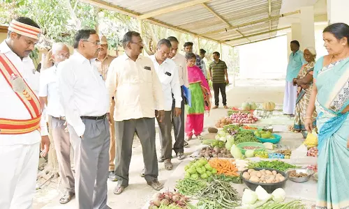 சீர்காழி உழவர் சந்தையில் கலெக்டர் ஆய்வு