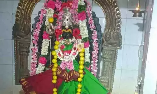 பொம்மனப்பாடி கிராமத்தில் அம்மனுக்கு சிறப்பு மலர் அலங்காரம்