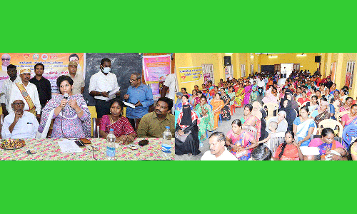 வளர்ச்சித்திட்ட பணிகளை ஆய்வு செய்த கலெக்டர்