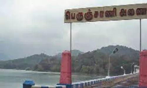 பேச்சிப்பாறை, பெருஞ்சாணி அணைகளின் நீர்மட்டம் கிடுகிடு சரிவு