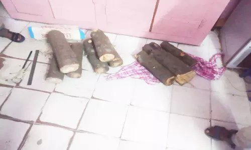 சந்தன மரங்கள் வெட்டி கடத்தல்