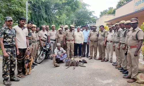 வனஉயிரினங்கள் வைத்திருப்பது கண்டறியப்பட்டால், கடுமையான நடவடிக்கை எடுக்கப்படும்