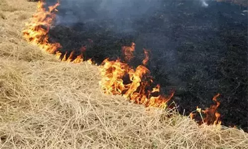 வைக்கோல் கட்டுகள் எரிந்து சேதம்