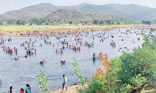 தம்மம்பட்டி அருகே ஏரியில் போட்டி போட்டு மீன்களை அள்ளி சென்ற பொதுமக்கள்