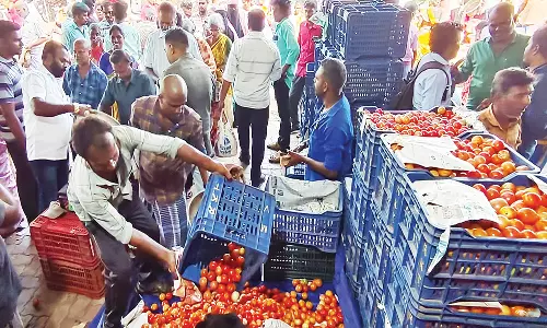 வரத்து அதிகரிப்பால் ஒட்டன்சத்திரம் மார்க்கெட்டில் தக்காளி கிலோ ரூ.40