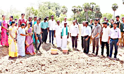 பாரம்பரிய நெல் விதைப்பு திருவிழா