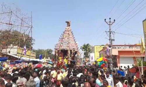 பிடாரி மீனாட்சி அம்மன் கோவில் தேரோட்டம்