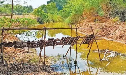 சேதமடைந்த தட்டிப்பாலம் சீரமைக்கப்படுமா?