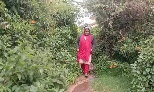 முட்புதர்கள் நிறைந்து காணப்படும் ஊட்டி மிஷினரி ஹில் சாலை