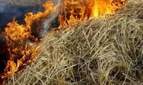 டிராக்டரில் ஏற்றி வந்த வைக்கோல் தீப்பிடித்து எரிந்ததால் பரபரப்பு