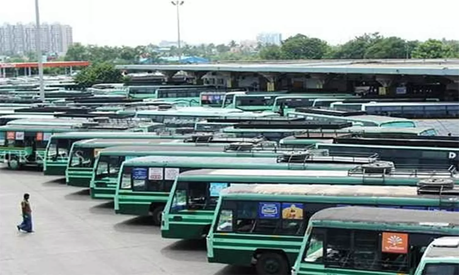 வேலூரில் இருந்து ஆடி கிருத்திகையொட்டி திருத்தணி கோவிலுக்கு சிறப்பு பஸ்கள் இயக்கம்