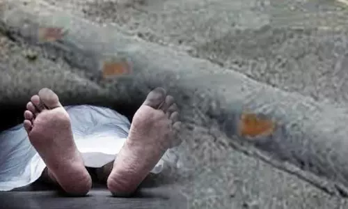 வேகத்தடையில் தவறி விழுந்து ஓட்டல் ஊழியர் பலி- வேகத்தடையில் வெள்ளை அடிக்காததால் விபரீதம்