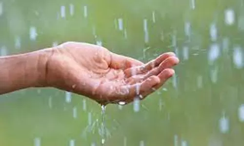 விழுப்புரம் மற்றும் சுற்றுவட்டார பகுதிகளில் நள்ளிரவில் தொடங்கிய மழை விடிய விடிய கொட்டி தீர்த்தது