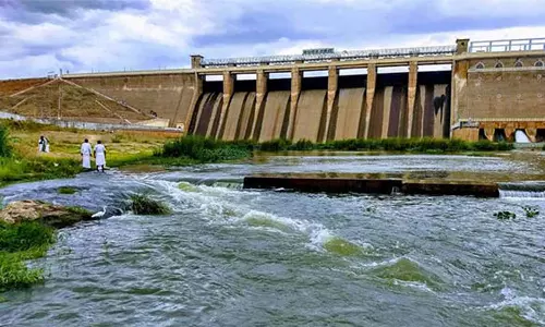 பெரியாறு, வைகை அணைகளின் நீர்மட்டம் தொடர்ந்து சரிவு