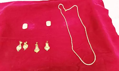 பெண்களிடம் நகை பறித்த அண்ணன், தம்பி கைது