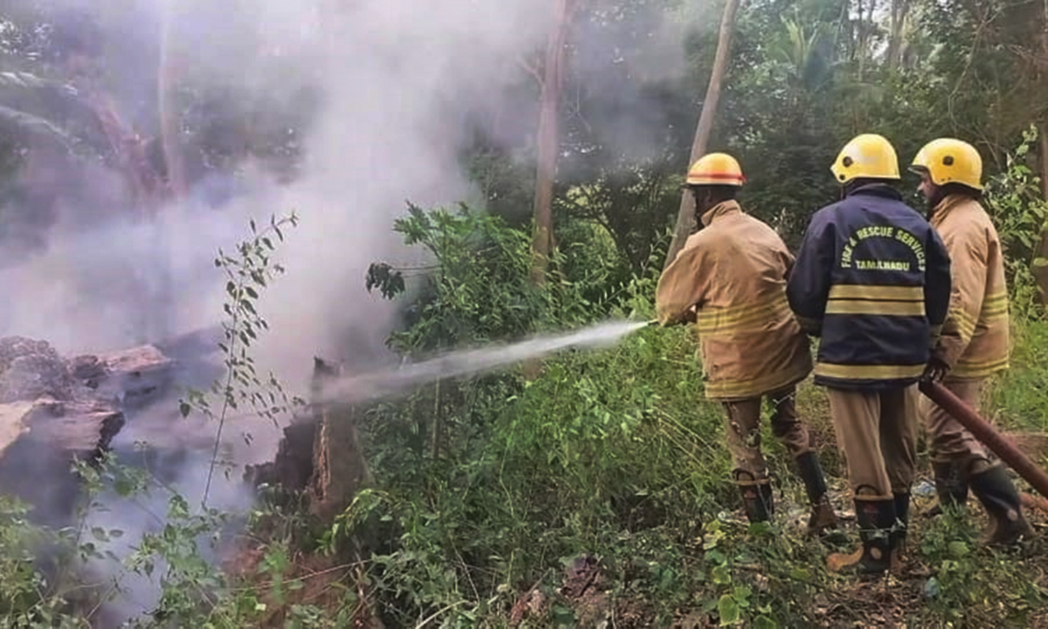 பெரியகுளத்தில் 400 ஆண்டு பழமையான மருதமரத்திற்கு தீ வைப்பு