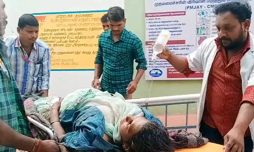 ஏற்காட்டில் காட்டெருமை தாக்கி பெண் படுகாயம்- வளர்ப்பு நாயால் தப்பினார்