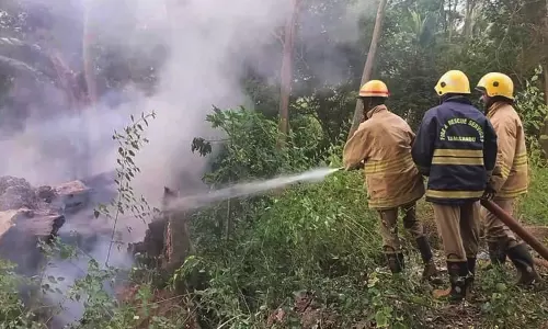 பெரியகுளத்தில் 400 ஆண்டு பழமையான மருதமரத்திற்கு தீ வைப்பு