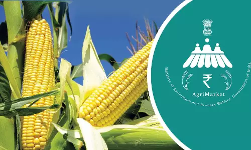 மின்னணு வேளாண் சந்தை மூலம் இந்தியா முழுவதும்  மக்காச்சோளம் விற்பனை