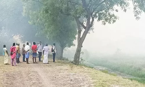 திட்டக்குடி அருகே கோடங்குடி ஏரியில் திடீர் தீ;   மள மளவென எரிந்த மரங்கள் வருவாய்துறையினர் விசாரணை