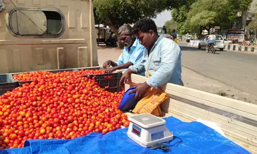 பரமத்திவேலூர் பகுதியில் தக்காளி கிலோ ரூ.30-க்கு விற்பனை