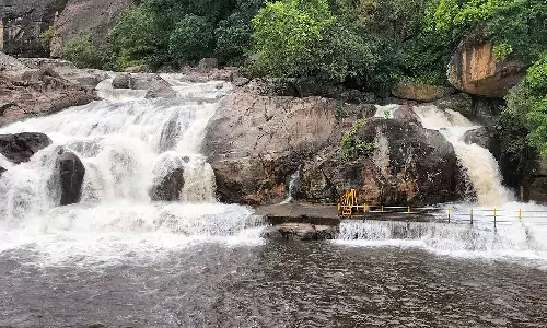 வருகிற 12-ந்தேதி முதல் 20-ந்தேதி வரை பாபநாசம் அகஸ்தியர் அருவிக்கு செல்ல 9 நாட்கள் தடை