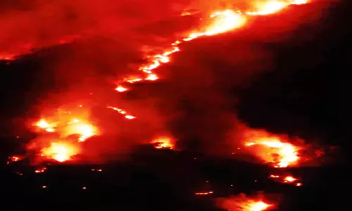 கடையநல்லூர் அருகே மேற்கு தொடர்ச்சி மலையில் காட்டு தீ