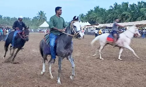 அந்தியூர் குருநாதசாமி கோவில் தேர்த்திருவிழாவில் ராஜஸ்தான் குதிரைகளுக்கு அனுமதி இல்லை